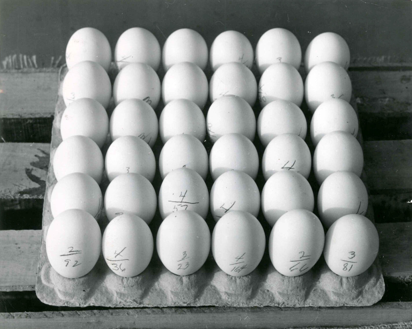 Eggs